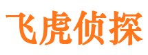 长岛侦探公司